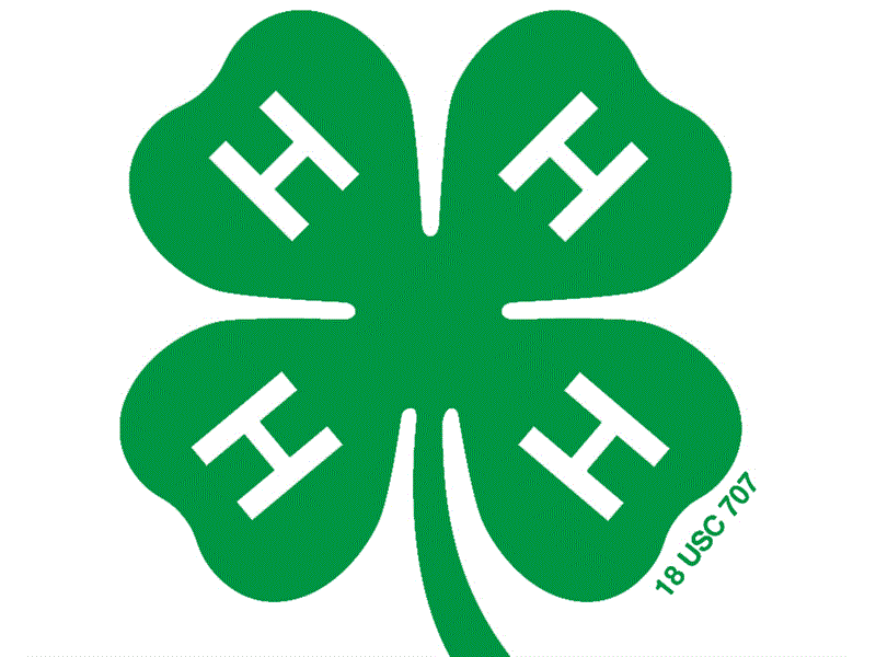 Fair Logo